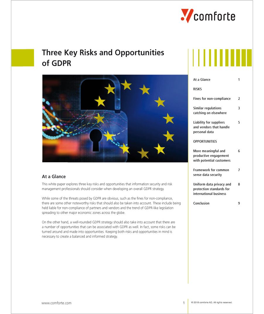 Whitepaper: Three Key Risks & Opportunities of GDPR