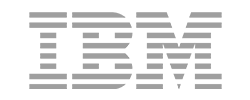 IBM logo