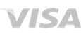 Visa logo